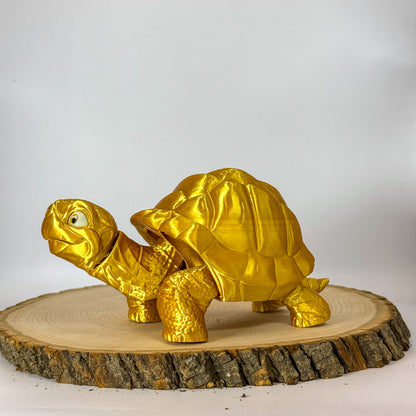 Tortoise