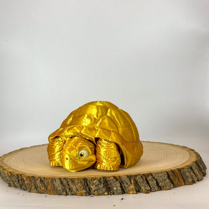 Tortoise